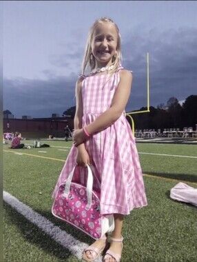 Barbie Movie Costume pink check dress